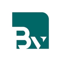 Brains valley - شركة وادي العقول logo - Similar company to Intajya - إنتاچية