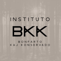 BKK Institute logo - Similar company to Cbkk S/A