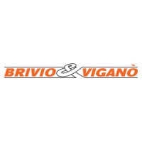 Brivio & Viganò logo - Similar company to Send & Collect