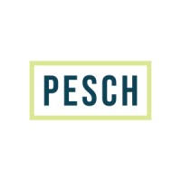 Pesch Strategy logo - Similar company to Bwpr