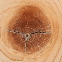 FRA Soluciones decorativas en madera y restauración de bienes culturales logo - Similar company to Miscelanea