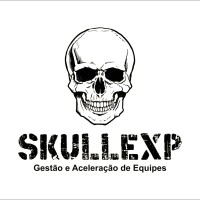 Skull Experience Gestão e Aceleração de Equipes logo - Similar company to Mobiview
