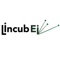 IncubEI logo - Similar company to Incubou - Inspiring Valley