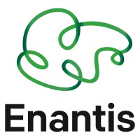 Enantis logo - Similar company to Three Dragons S.R.O.
