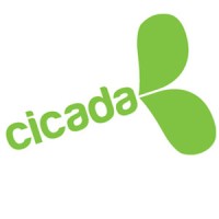 Cicada Consulting Ltd logo - Similar company to Zanzi Digital