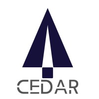 Cedar Company logo - Similar company to Cedar Solutions