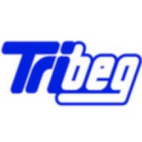 TRIBEG Treuhand AG Zug logo - Similar company to Recimmo Ag