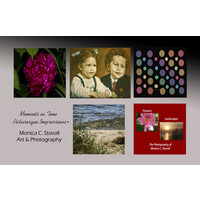 Monica C. Stovall Creations & Innovations logo - Similar company to Monica'S Cleaning Consulting, Llc.