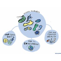 Marine Microbiome Forum logo - Similar company to Next_Bluegeneration Project