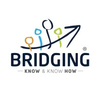 BRIDGING CHANGES logo - Similar company to Bridging-Changes