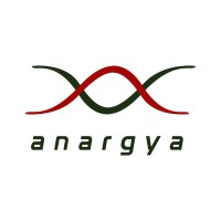 ANARGYA ITS TEAM logo - Similar company to Society Of Renewable Energy Its (Sre Its Sc)