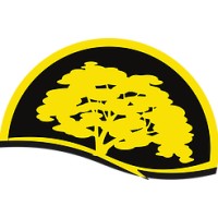 Golden Elm, LLC logo - Similar company to Computers Made Easy - Managed It Services