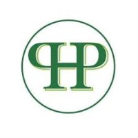 PLATINUM EUROPE logo - Similar company to Wiro Consulting