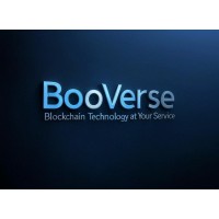 BooVerse Studio logo - Similar company to Msf-Inc