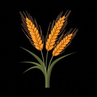 Bulkali farms logo - Similar company to Bulkali.Com