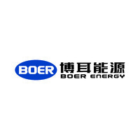 Boer Energy Jiangsu Co., Ltd logo - Similar company to Buzzard Energy Gmbh