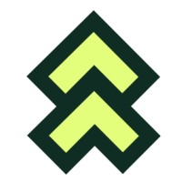Leaderr.io logo - Similar company to Kodotech Solutions