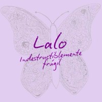 INDESTRUCTIBLEMENTE FRÁGIL ASOCIACION logo - Similar company to Governance Lab