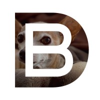 Bonfilio Design