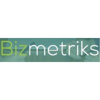 Bizmetriks logo - Similar company to Four Players Vr