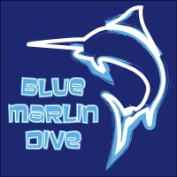 Blue Marlin Dive logo - Similar company to Wedive