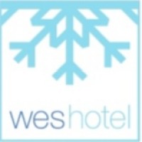 WESHOTEL logo - Similar company to Tradematt (Henan) Industry Co., Ltd.