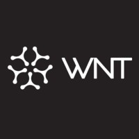 WNT Corp logo - Similar company to Ahora Entiendo