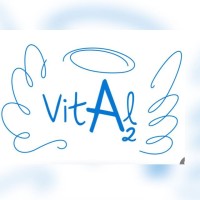 Vital A2 logo - Similar company to Milksat