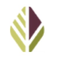 Your Money Solutions LLC logo - Similar company to Young Money Solutions, Inc.