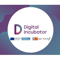 University of Sunderland Digital Incubator logo - Similar company to Accelerator Squared