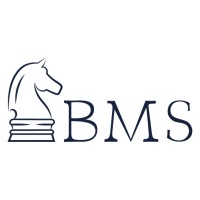 Baumann Mayer Seidel Rechtsanwälte Partnerschaft mbB logo - Similar company to Digital Ninja