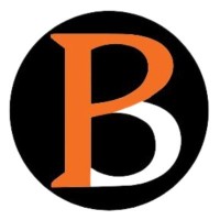 BasisPoint Insight logo - Similar company to Value Consult Advisory