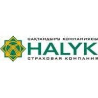 Halyk Insurance Company JSC logo - Similar company to Proper Data Management
