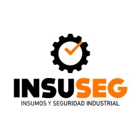 INSUSEG logo - Similar company to Supercar Storage