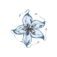 Carambola logo - Similar company to Kempfer / K Creative Office