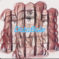 DataBale Consulting logo - Similar company to Bytezero