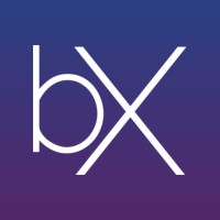 bXchain logo - Similar company to Bitrust Custody