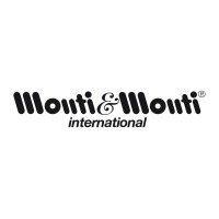 Monti & Monti Srl logo - Similar company to Nanoproject Srl