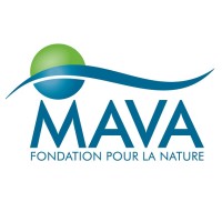 MAVA Foundation logo - Similar company to Mava