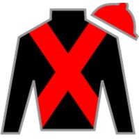 Chestnut Hill Stable LLC logo - Similar company to Eva Mendieta