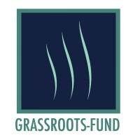 Grassroots-Fund logo - Similar company to Grassroots Fund