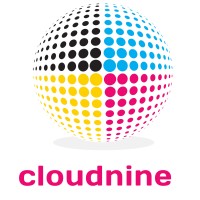 CloudNine Consulting logo - Similar company to Leointelli Consulting Services