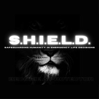 S.H.I.E.L.D. logo - Similar company to Digi4
