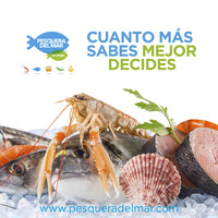 Pesquera del Mar S.A.S logo - Similar company to Waspe
