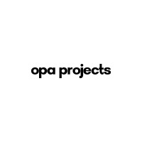 Opa Projects logo - Similar company to Mapply