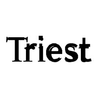 Triest Verlag logo - Similar company to Creative Intelligence Society Ag