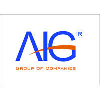 AIG logo - Similar company to Jonell Systems