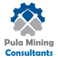 Pula Mining Consultants logo - Similar company to Irio Solutions