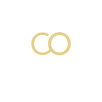 COZNECTION logo - Similar company to Wedding.Net