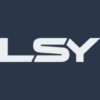 LSY Consulting Group LLC